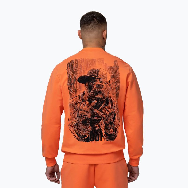 Vyriškas džemperis Pitbull USA Crewneck Sweatshirt fluo orange 3