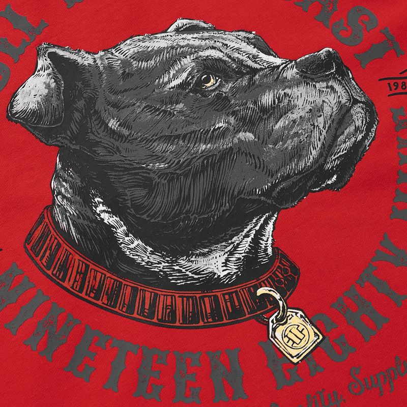 Vyriškas džemperis Pitbull Strenght & Respect Sweatshirt Hooded red 9