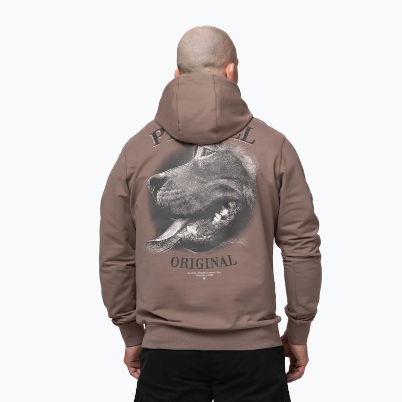 Vyriškas džemperis Pitbull Midnight Sweatshirt Hooded brown savana 3