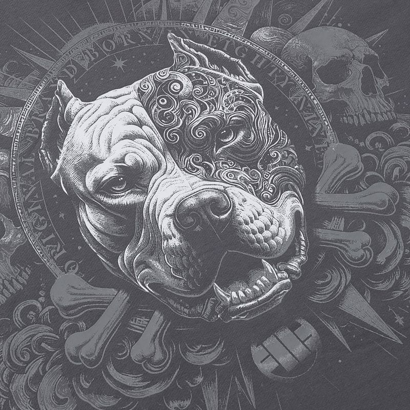 Vyriškas džemperis Pitbull World Sweatshirt Zip Hooded graphite 11