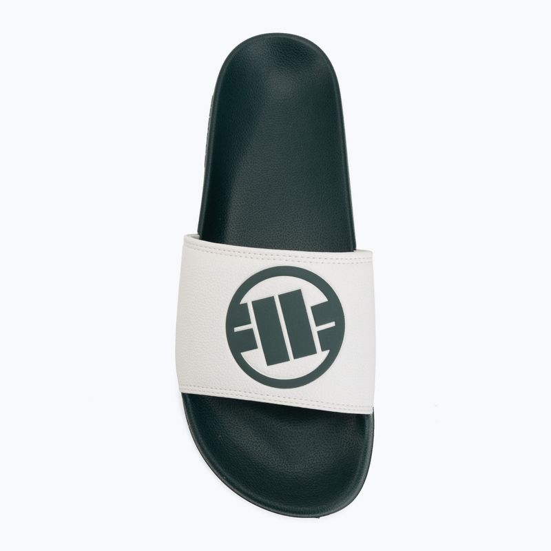 Vyriškos šlepetės Pitbull Logo bottle green 5