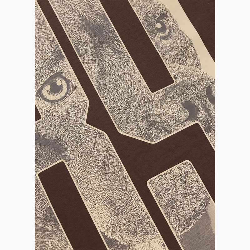 Vyriški marškinėliai Pitbull Eighty Nine Dog dark chocolate 10