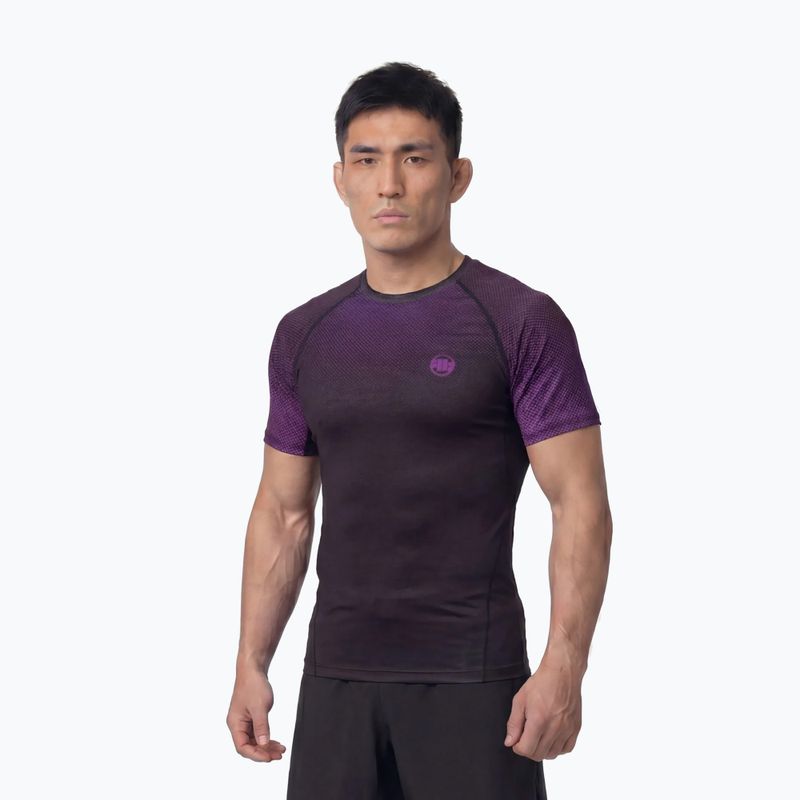 Vyriški marškinėliai Pitbull Belt Rashguard purple
