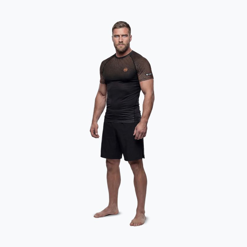 Vyriški marškinėliai Pitbull Belt Rashguard brown 2