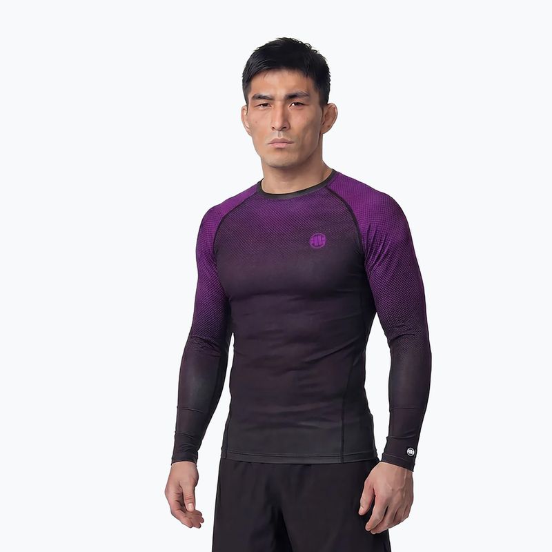 Vyriškas ilgomis rankovėmis rashguardas Pitbull Belt Rashguard purple
