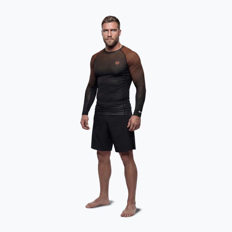 Vyriškas ilgomis rankovėmis rashguardas Pitbull Belt Rashguard brown 2