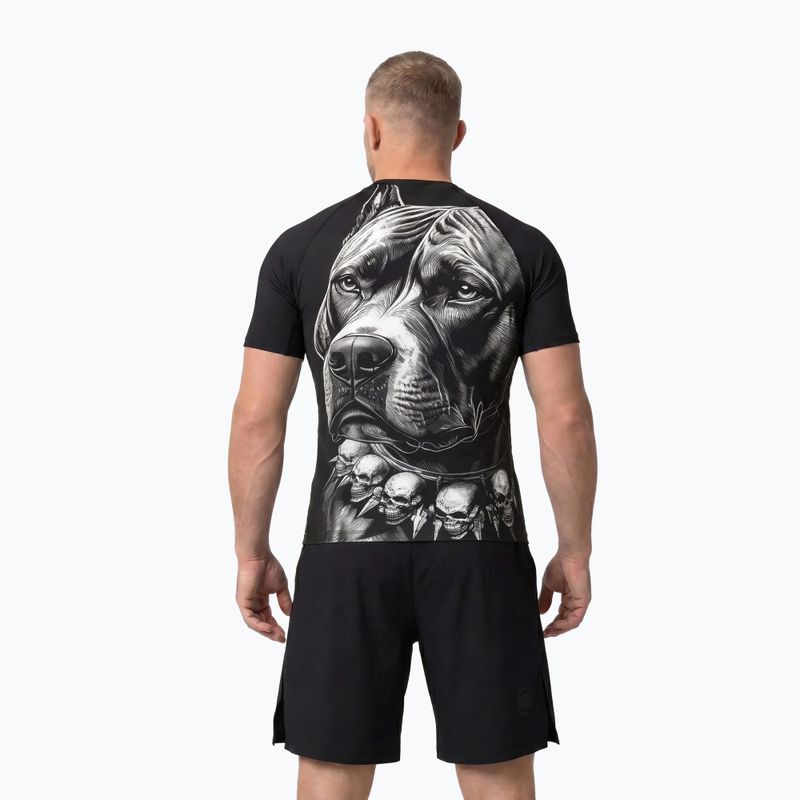 Vyriški marškinėliai Pitbull Blacky Rashguard black 3