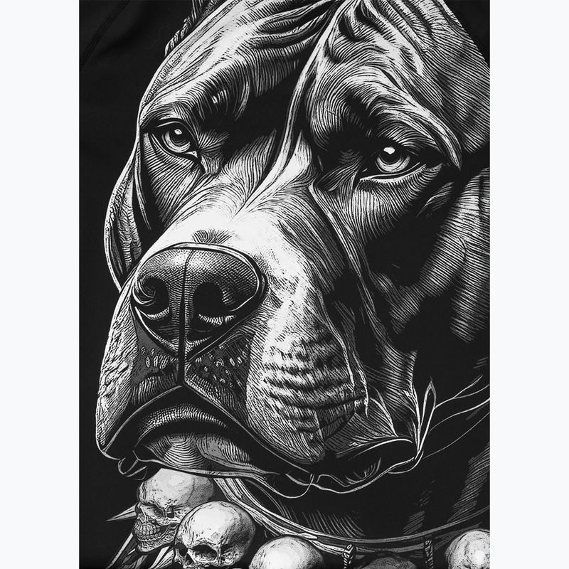 Vyriški marškinėliai Pitbull Blacky Rashguard black 9