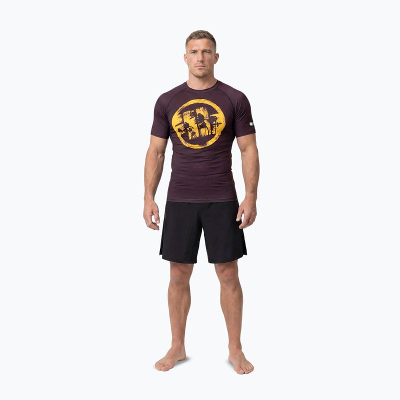 Vyriški marškinėliai Pitbull Rashguard Logo Palms brown 2
