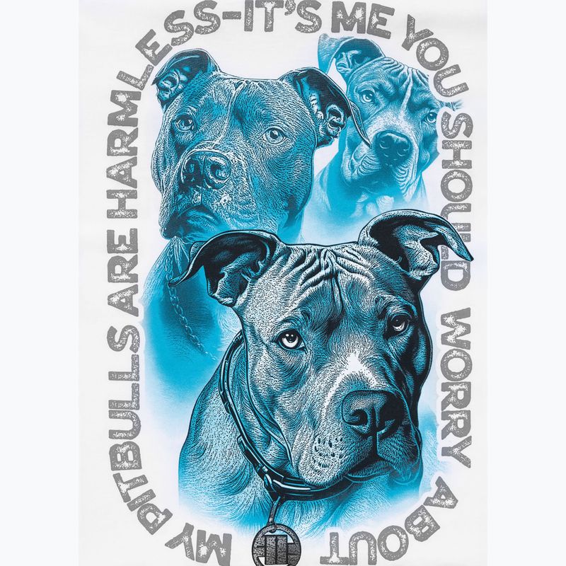 Vyriški marškinėliai Pitbull Protector white 11