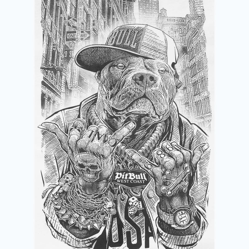Vyriški marškinėliai Pitbull Avenue white 8