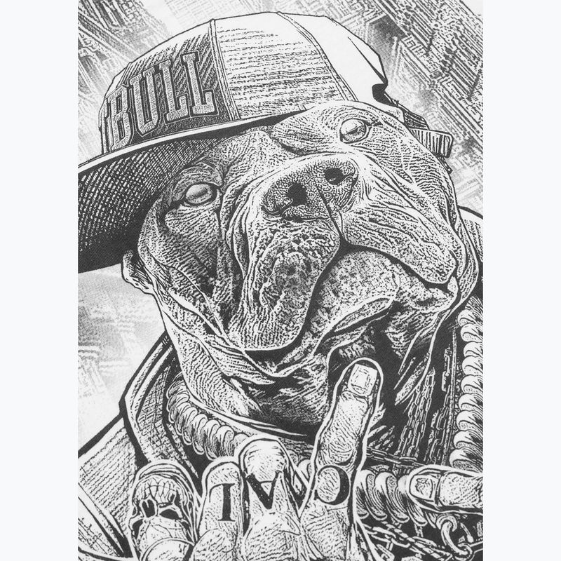 Vyriški marškinėliai Pitbull Avenue white 9