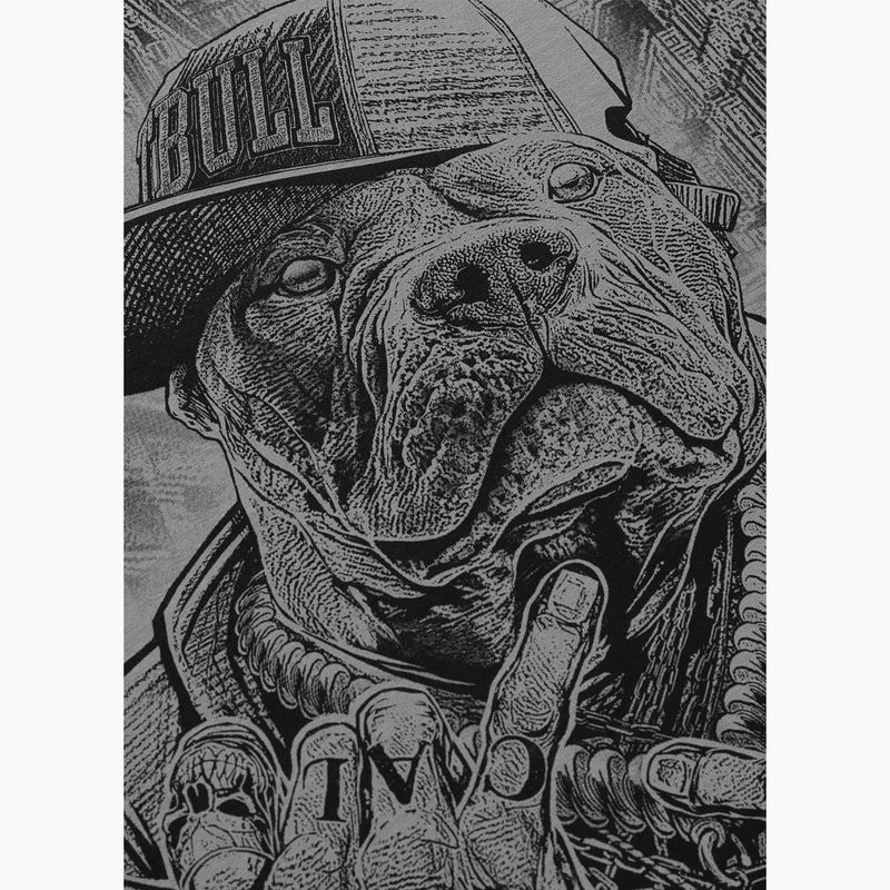 Vyriški marškinėliai Pitbull Avenue grey 6