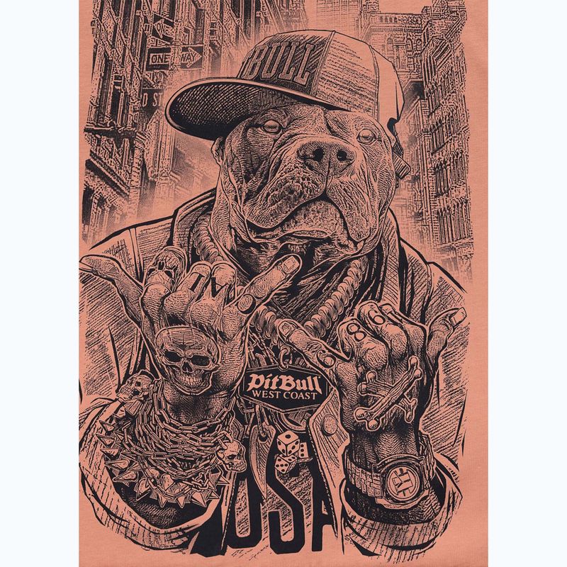 Vyriški marškinėliai Pitbull Avenue pale salmon 5