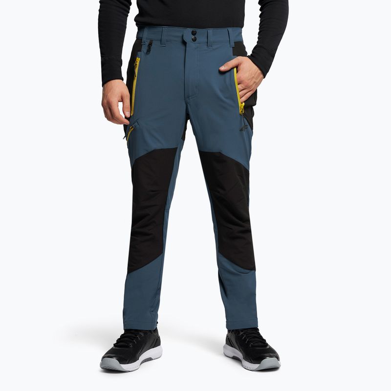 Vyriškos trekingo kelnės 4F SPMTR060 teal 8