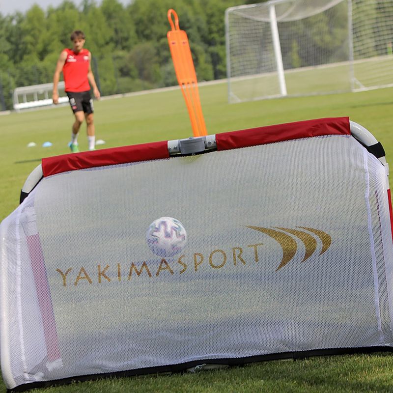 Yakimasport Academy futbolo vartai 120 x 80 cm 100518 5