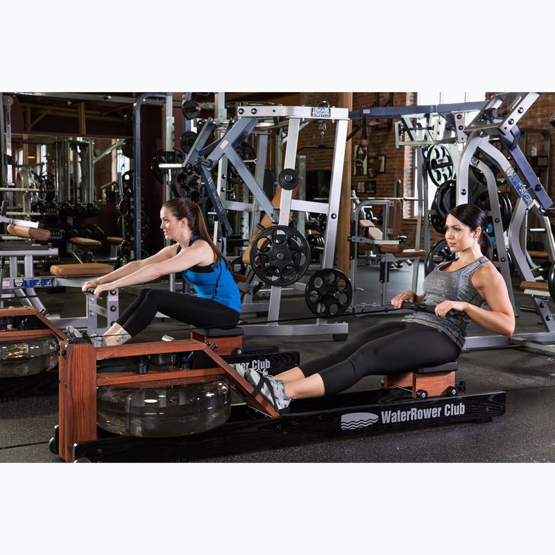 Vandens irkluotojas WaterRower Performance SR Club Uosis 14