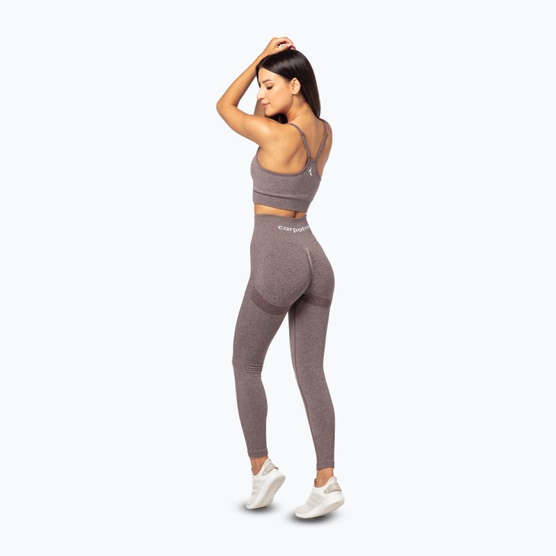 Moteriškos treniruočių tamprės Carpatree Allure Seamless brown melange (pepper corn) 3