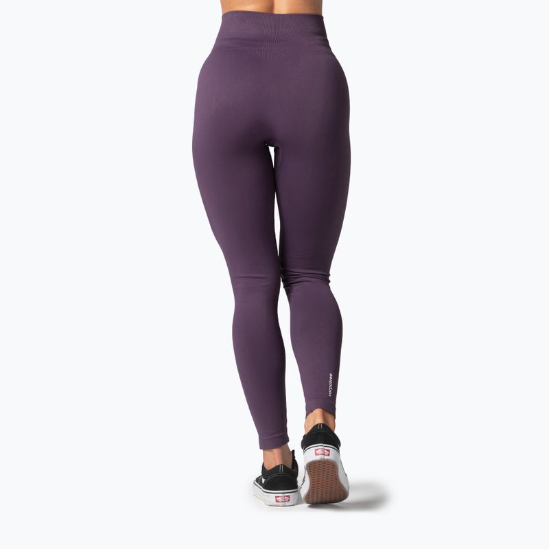 Moteriškos treniruočių tamprės Carpatree Arcade Seamless purple/navy cosmos 2