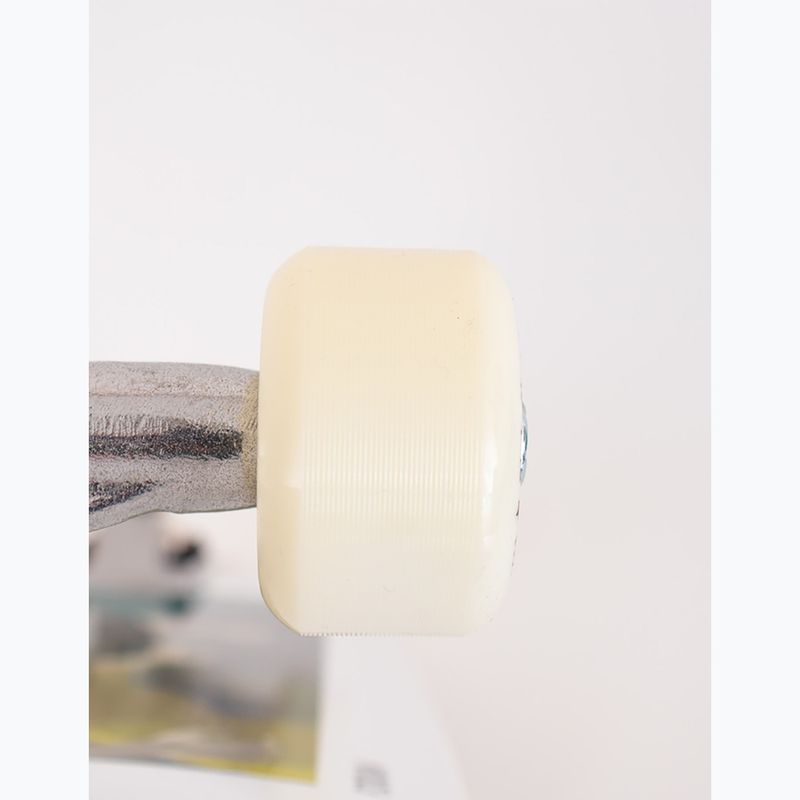 Klasikinė riedlentė Fish Skateboards Pro Forum 8.0" 7