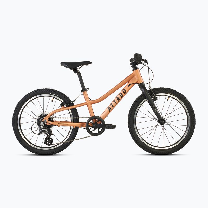 Vaikiškas dviratis ATTABO RASH 20" vario spalvos