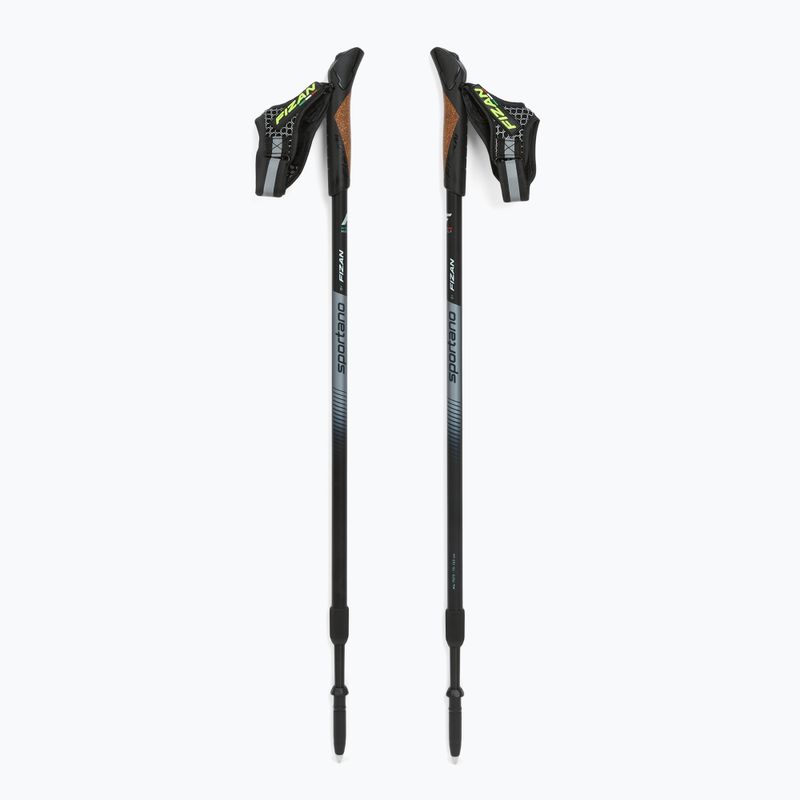 Šiaurietiško ėjimo lazdos Fizan Smu Active black 5