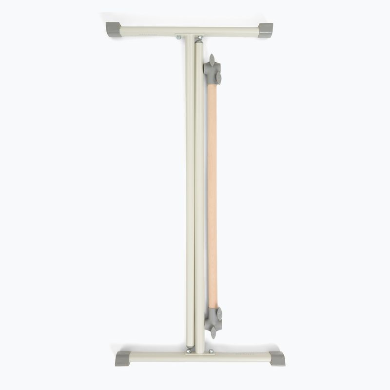 Treniruoklis XTREXO x Anna Lewandowska exercise multi barre Silver 8