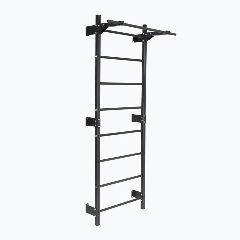 Gimnastikos sienelė XTREXO LM100 black