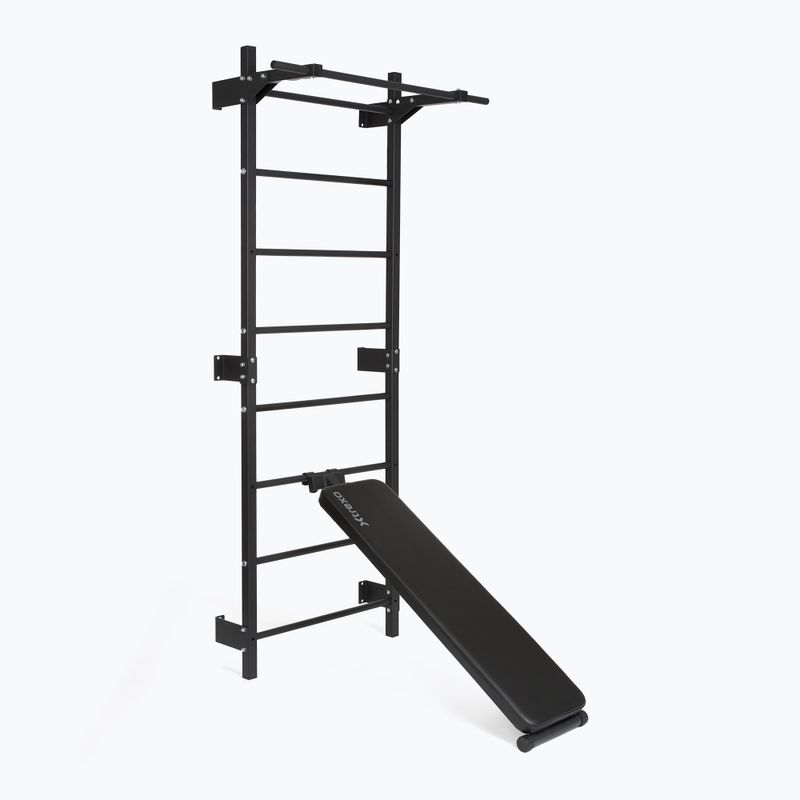 Gimnastikos sienelė XTREXO LM100 black 7
