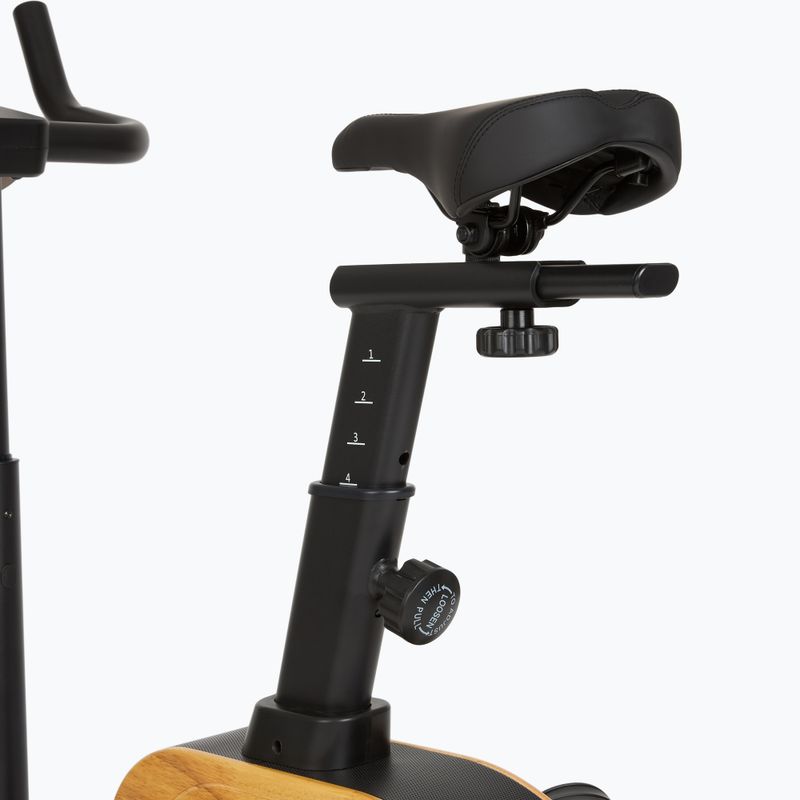 Elektrinis dviratis XTREXO EB400 black 6