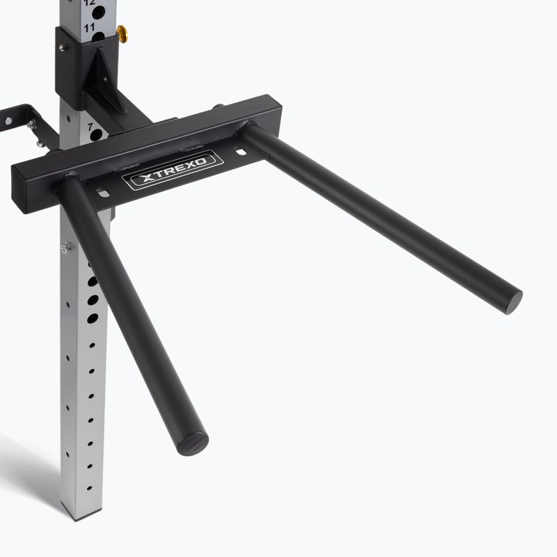 Sieninis treniruočių stovas TREXO Mercury su suoliuku ir lentyna diskams juodas 7