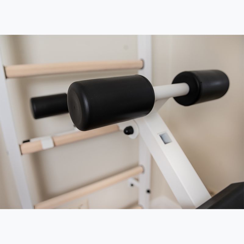 Gimnastikos kopėčios BenchK 223W white matte/oak 14