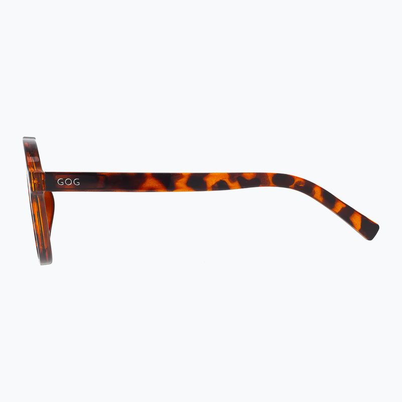 Saulės akiniai GOG Ranger brown demi/green 3