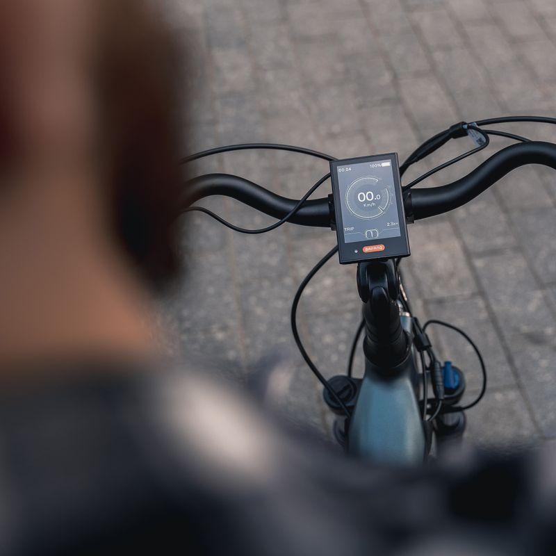 Vyriškas elektrinis dviratis JOBOBIKE Lyon 36V 14Ah 504Wh pilkas 4