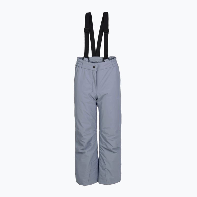 Vaikiškos slidinėjimo kelnės 4F Fnk F0948 grey 3