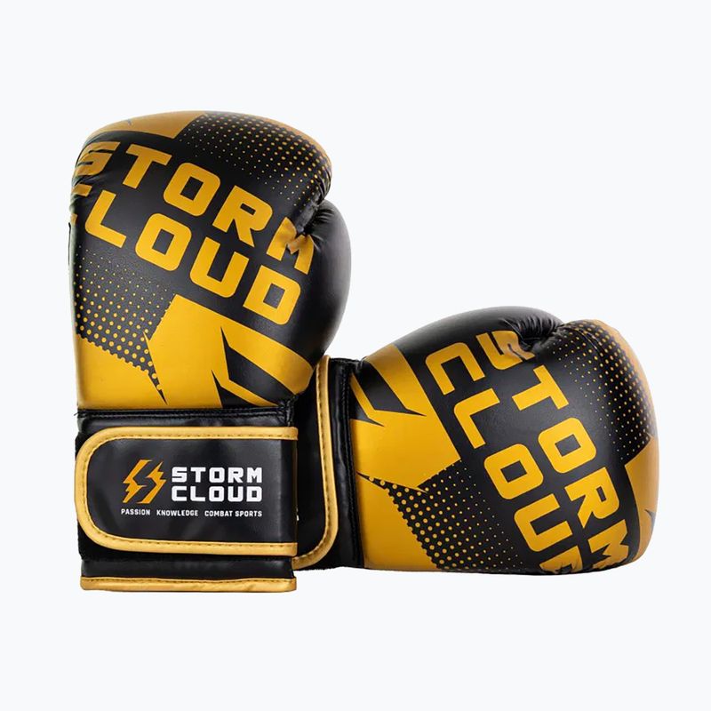 Bokso pirštinės StormCloud Bolt 3.0 black/gold 3