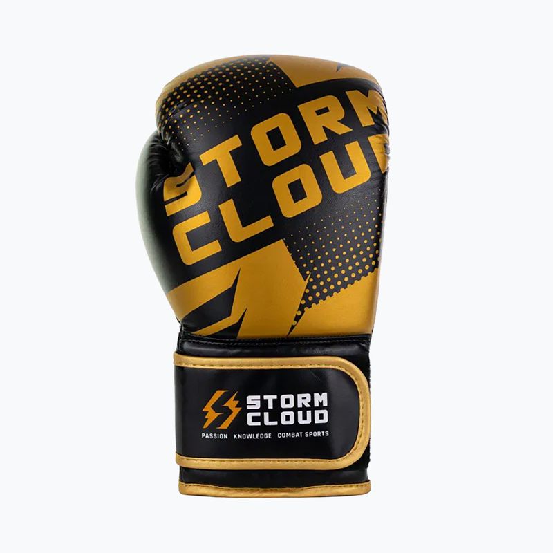 Bokso pirštinės StormCloud Bolt 3.0 black/gold 4