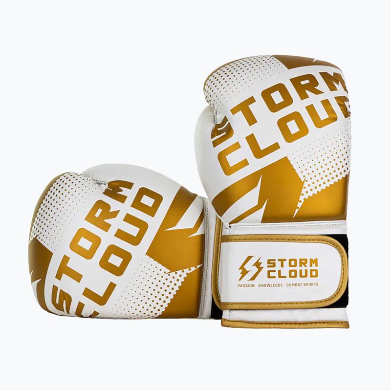 Bokso pirštinės StormCloud Bolt 3.0 white/gold 3