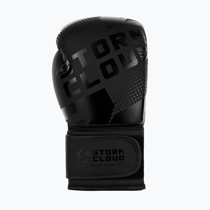 Bokso pirštinės StormCloud Bolt 3.0 black/black 4
