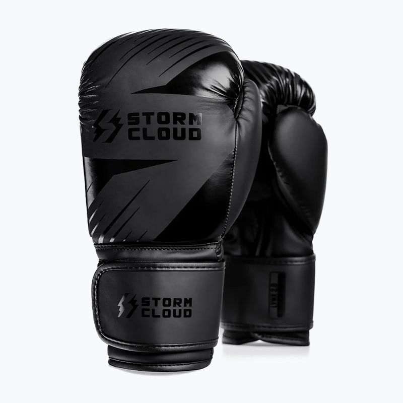 Bokso pirštinės StormCloud Lynx 2.0 black/black 2