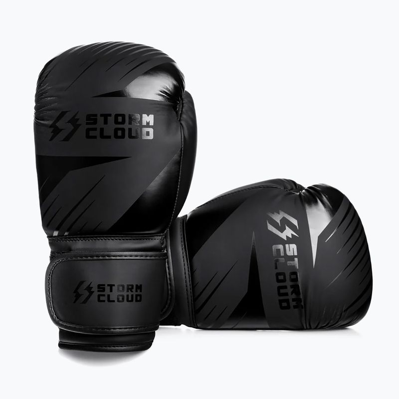Bokso pirštinės StormCloud Lynx 2.0 black/black 3