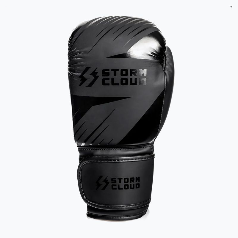 Bokso pirštinės StormCloud Lynx 2.0 black/black 4