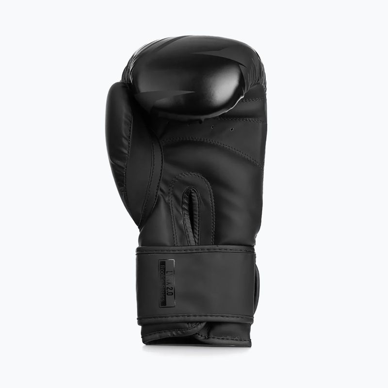 Bokso pirštinės StormCloud Lynx 2.0 black/black 5