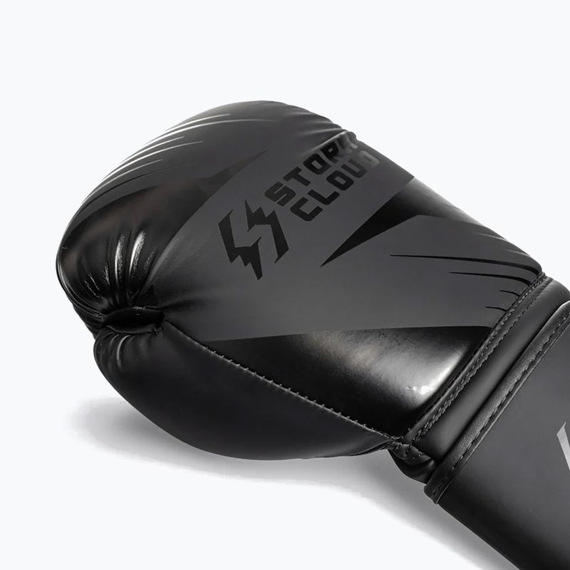 Bokso pirštinės StormCloud Lynx 2.0 black/black 6