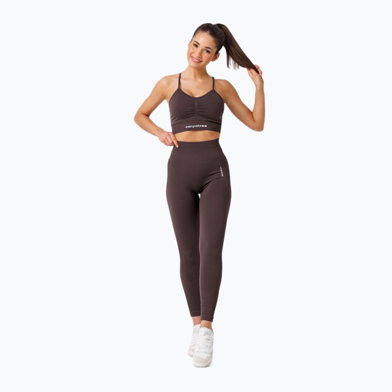 Moteriškos treniruočių tamprės Carpatree Allure Seamless berry brown 2