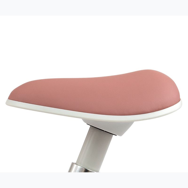 Balansinis dviratukas Milly Mally Skippy pink 11