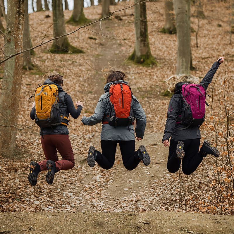 Turistinė kuprinė Alpinus Tarfala 35 l mustard 4