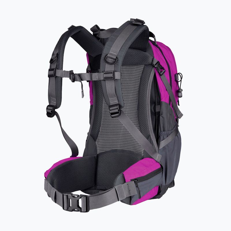 Turistinė kuprinė Alpinus Tarfala 35 l fuchsia 2