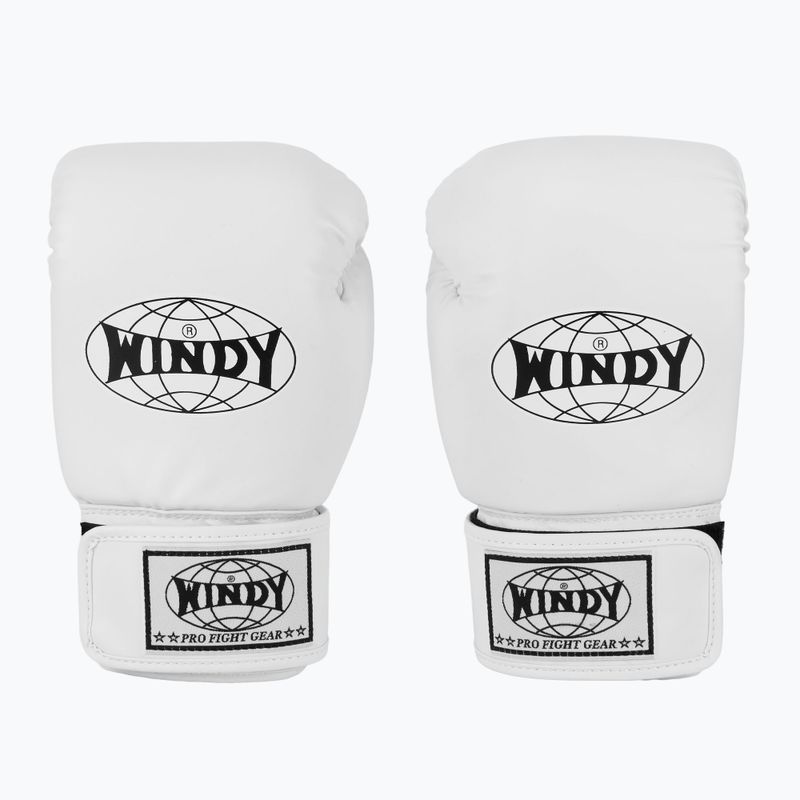 Bokso pirštinės WINDY Classic Synthetic Leather white 2