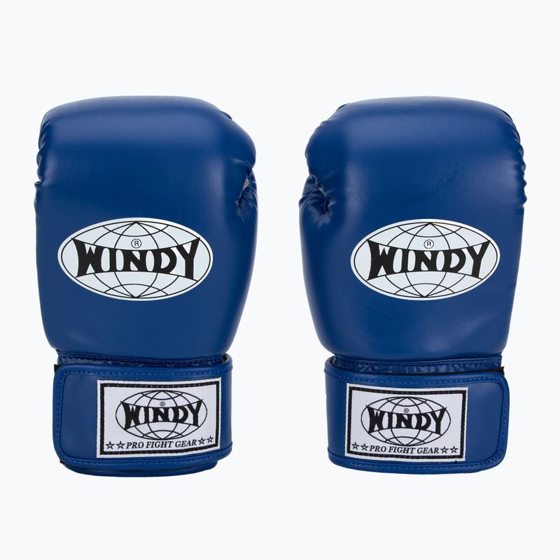 Bokso pirštinės WINDY Classic Synthetic Leather blue 2